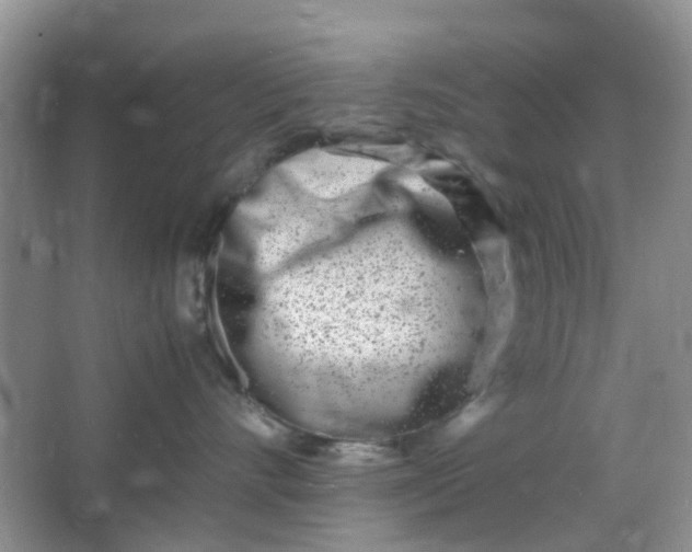 X0000066100528200603241521