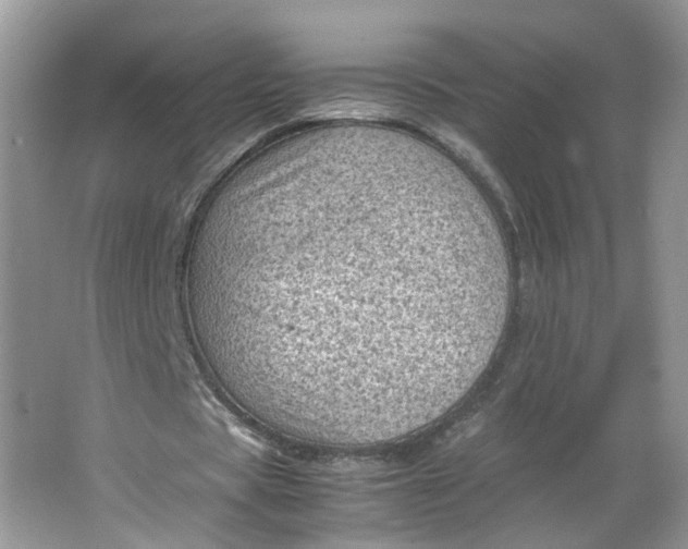 X0000066100529200603241520