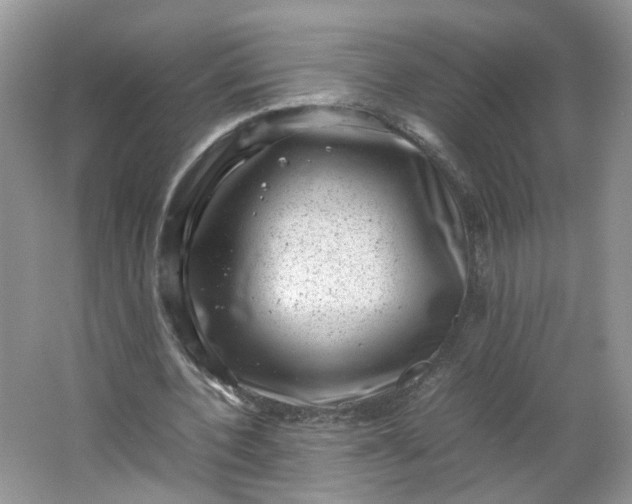 X0000066100532200603241520