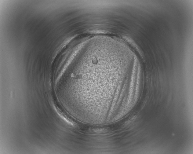 X0000066100533200603241520