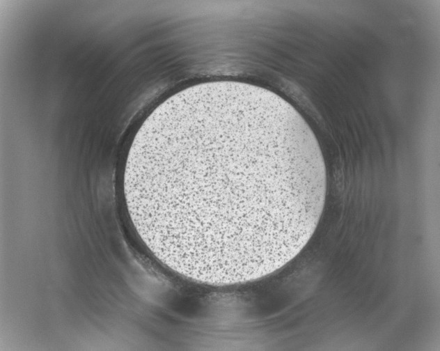 X0000066100534200603241520