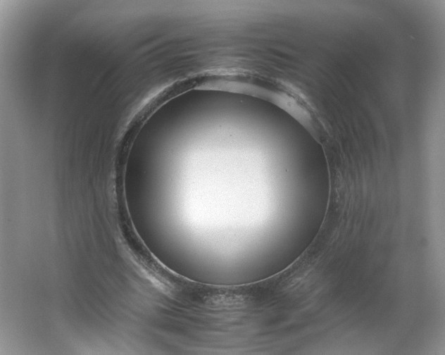 X0000066100535200603241521