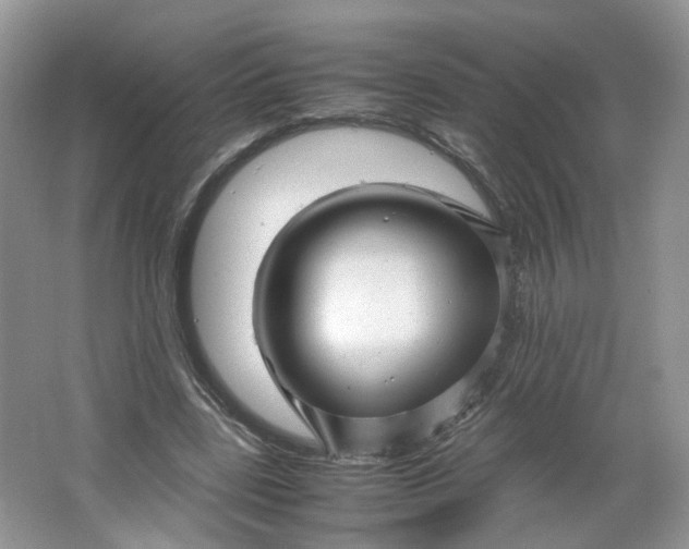 X0000066100539200603241521