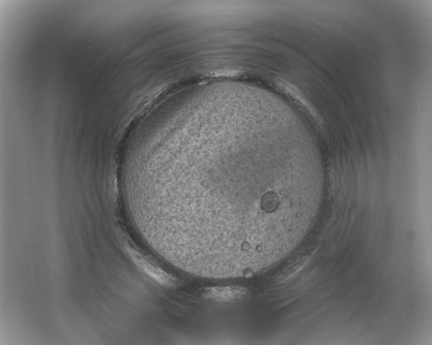 X0000066100541200603241521