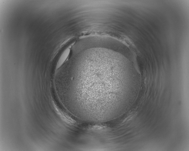 X0000066100542200603241521