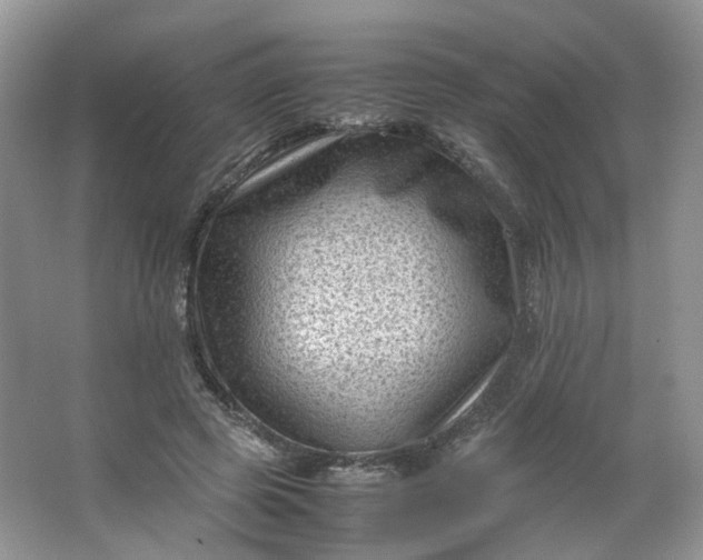 X0000066100545200603241521