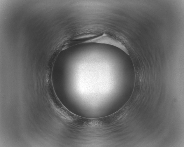 X0000066100546200603241521