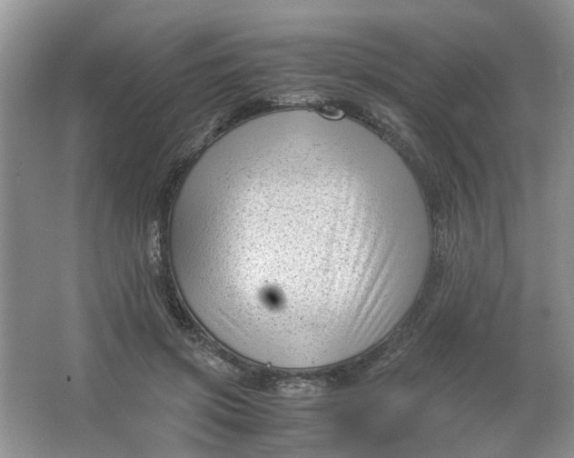 X0000066100549200603241521