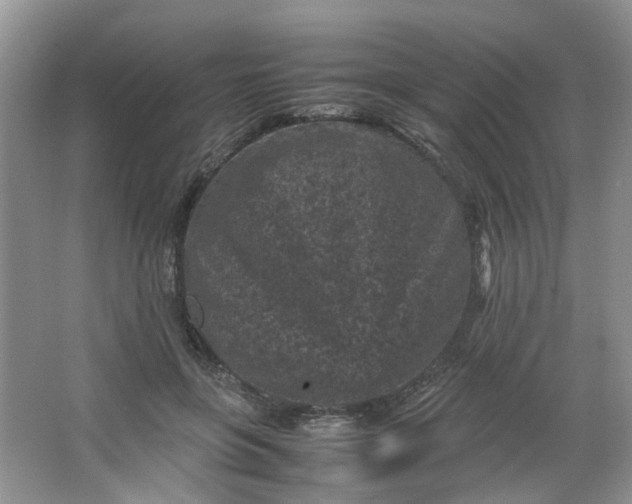 X0000066100551200603241521