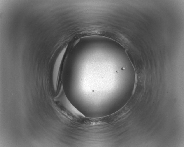 X0000066100552200603241521