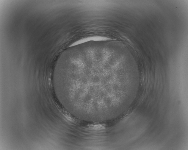 X0000066100553200603241521