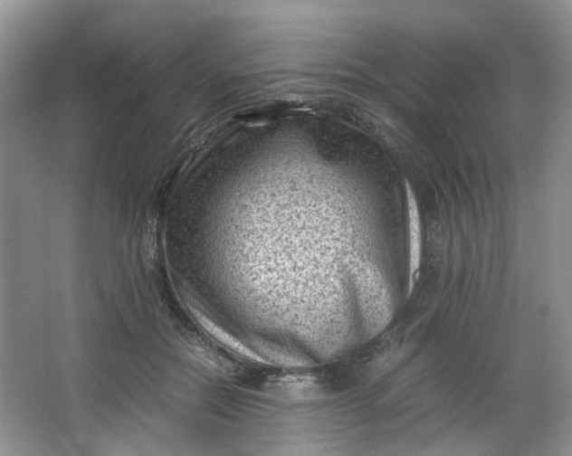 X0000066100554200603241521