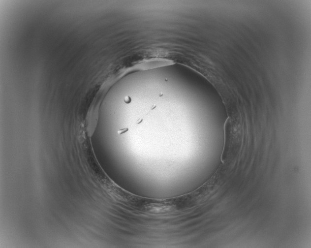 X0000066100555200603241521