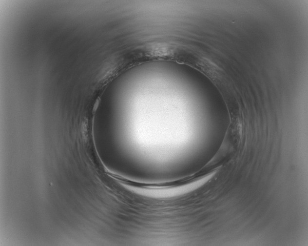 X0000066100556200603241521