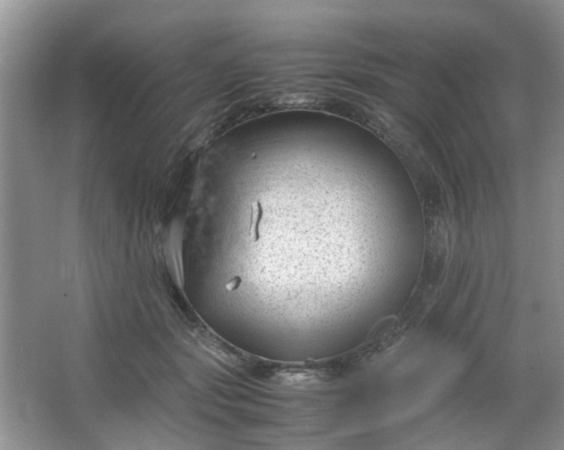 X0000066100557200603241521