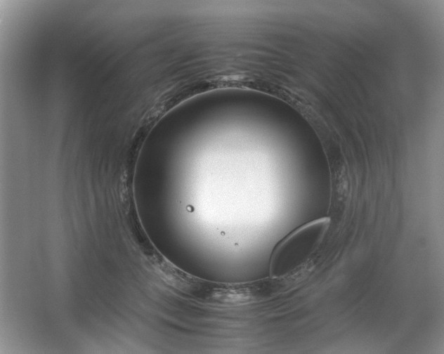 X0000066100559200603241521