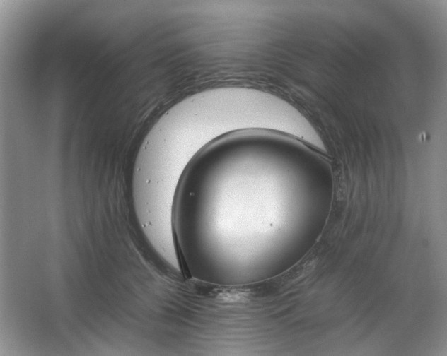 X0000066100560200603241521