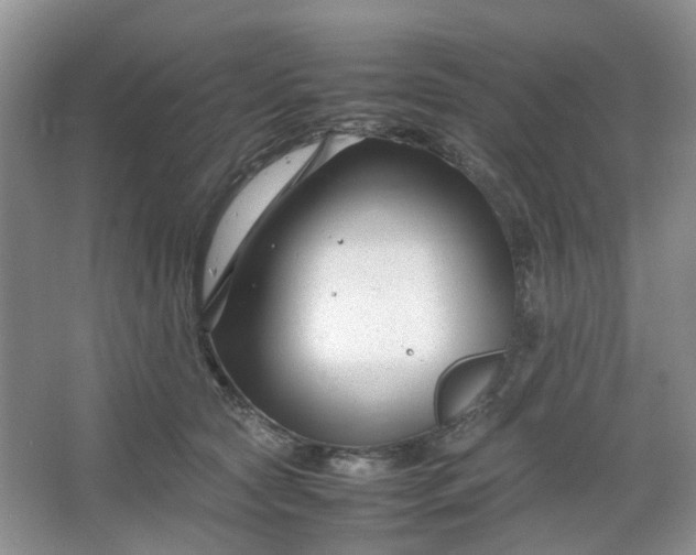 X0000066100561200603241521