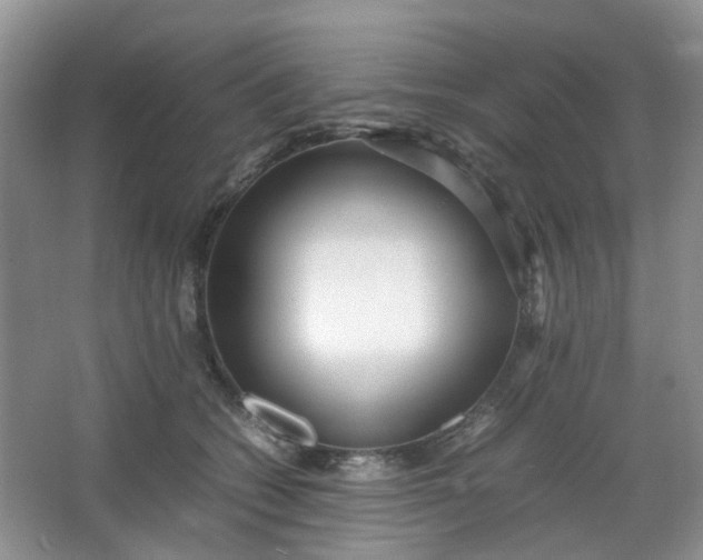 X0000066100562200603241521