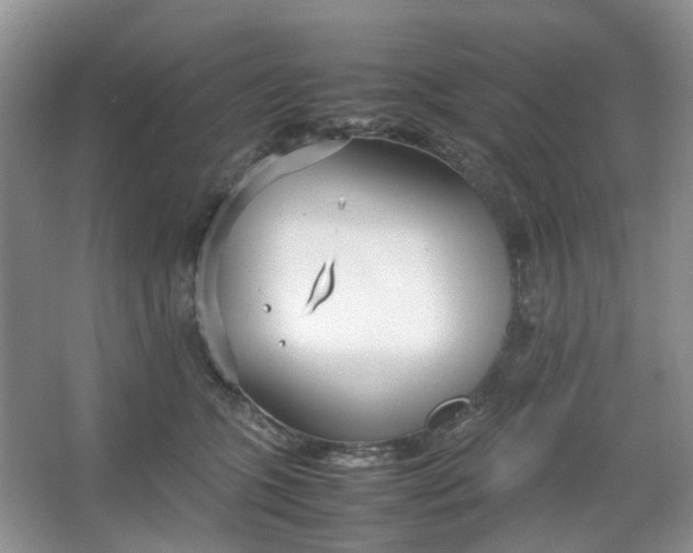 X0000066100563200603241521