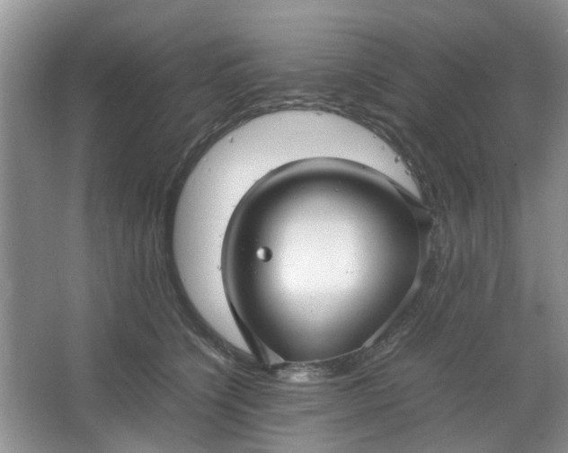 X0000066100564200603241521