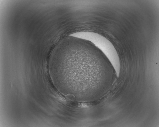 X0000066100565200603241521