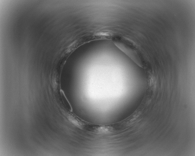 X0000066100566200603241521