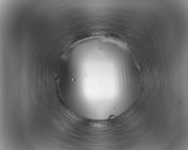 X0000066100567200603241521