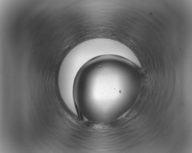 X0000066100568200603241521