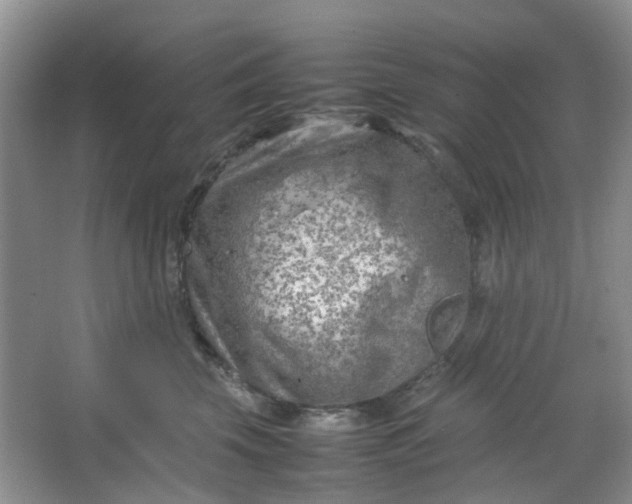 X0000066100569200603241521