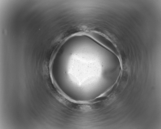 X0000066100572200603241521