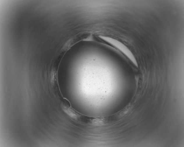 X0000066100574200603241521