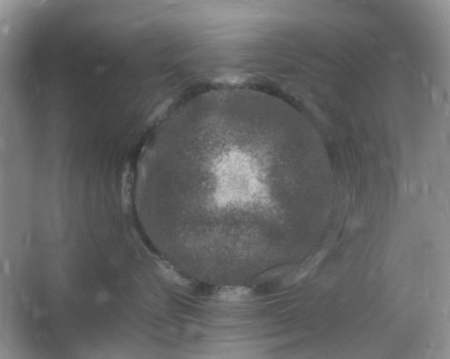 X0000066100576200603241521