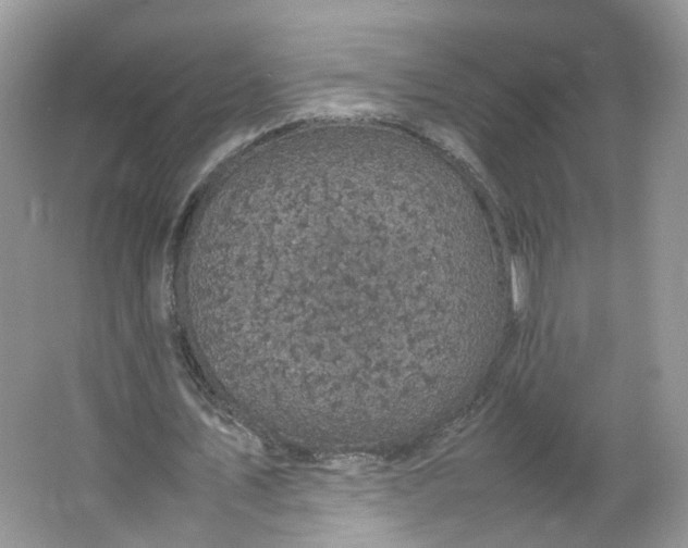 X0000066100579200603241520