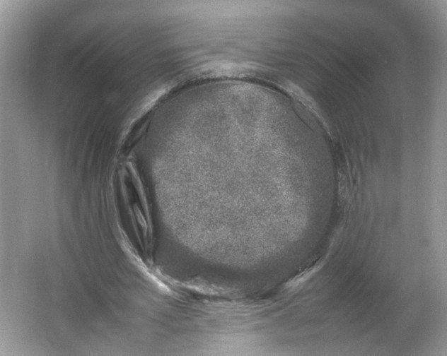 X0000066100581200603241520