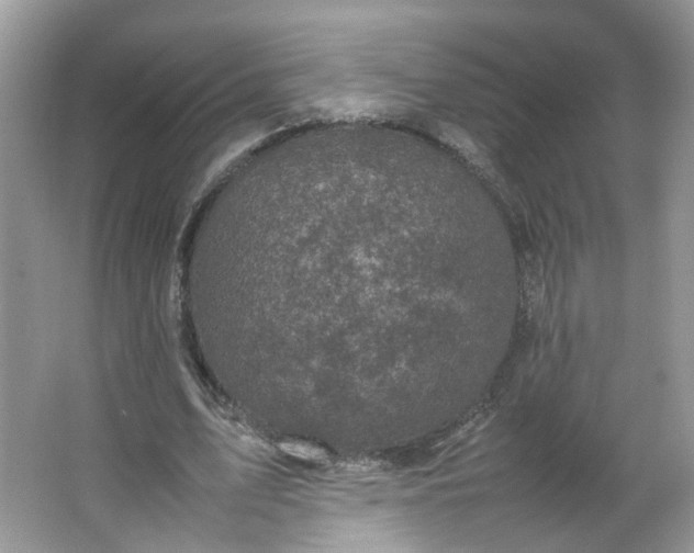 X0000066100583200603241520