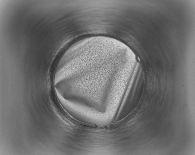 X0000066100584200603241520