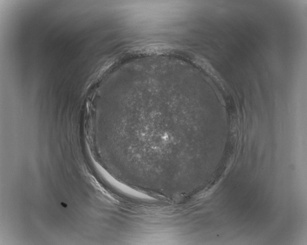 X0000066100585200603241520