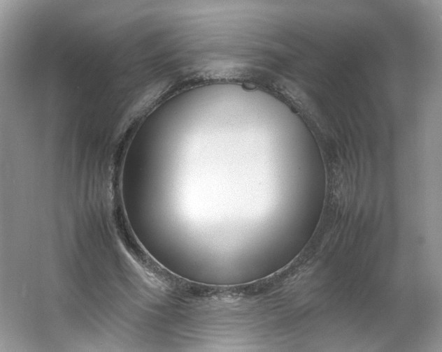 X0000066100586200603241520