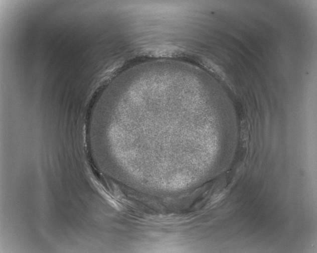 X0000066100589200603241520