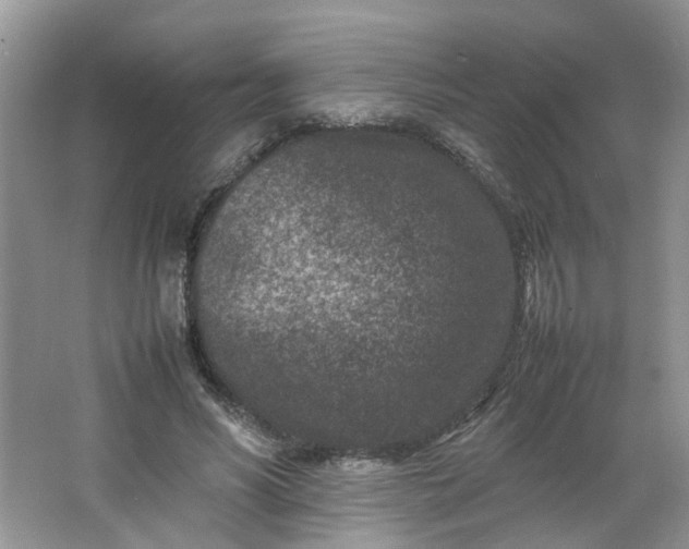 X0000066100590200603241520