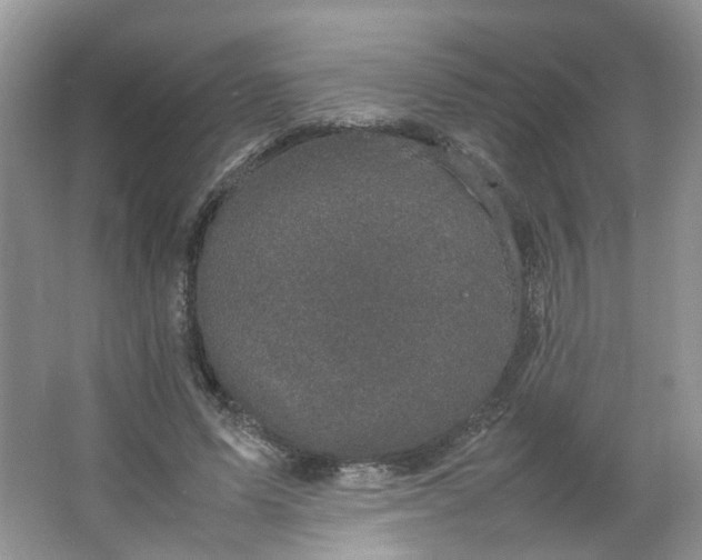 X0000066100591200603241520