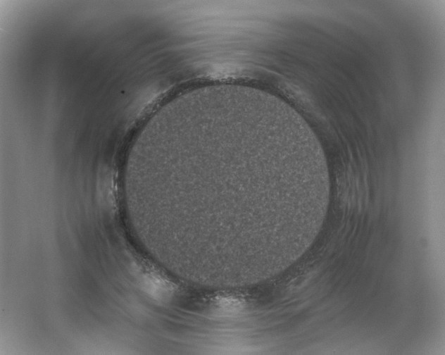 X0000066100592200603241520