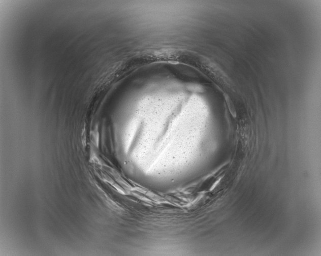 X0000066100593200603241520