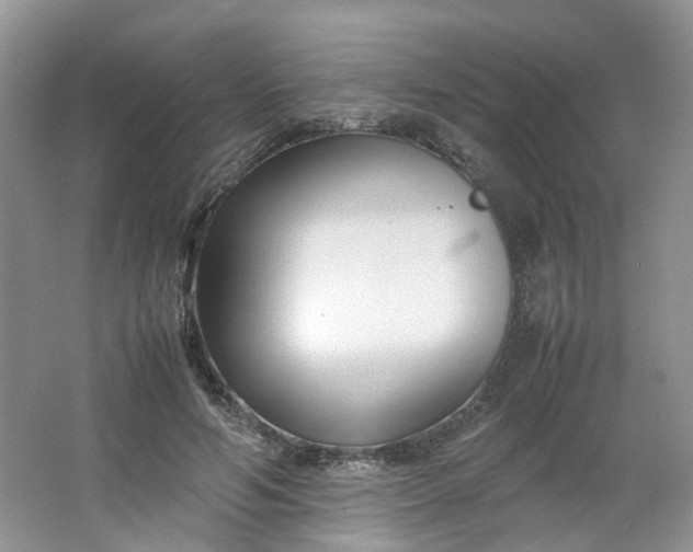 X0000066100594200603241520