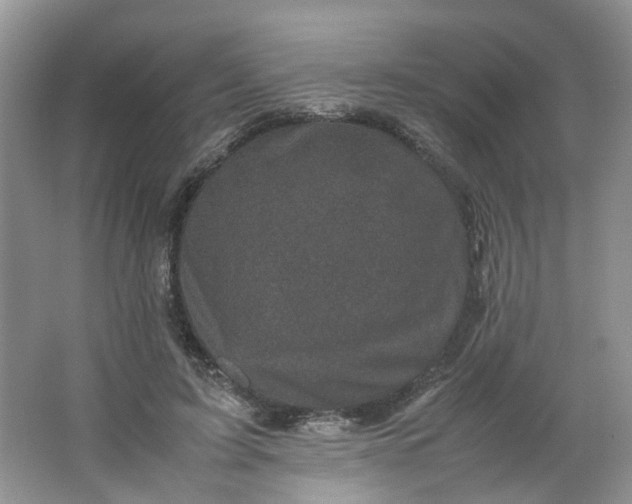 X0000066100595200603241520