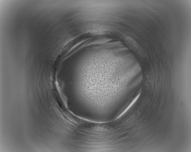 X0000066100596200603241520