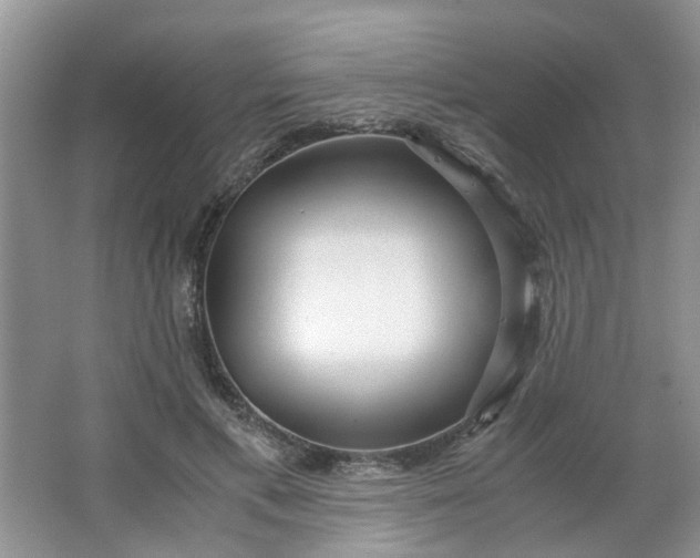 X0000066100597200603241520