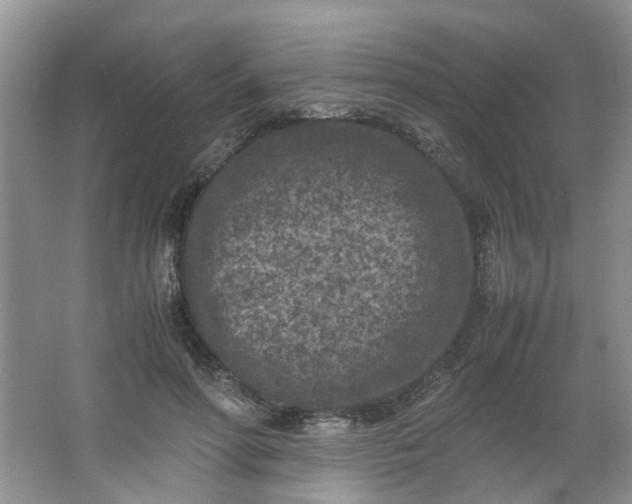 X0000066100598200603241520