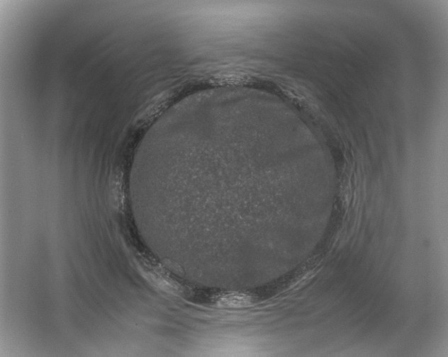 X0000066100599200603241520